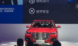 哈佛最新爆料,揭秘学术界的惊人内幕