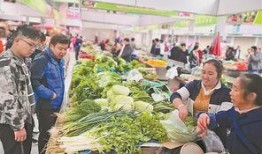 昆明农贸市场最新爆料,探寻市井烟火里的生活变迁