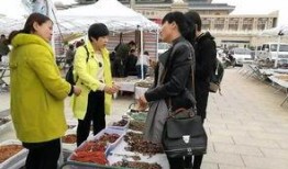 阿拉善展会爆料最新消息,前沿科技与绿色未来精彩纷呈