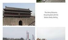 西安小王最新爆料,揭秘背后惊人真相！